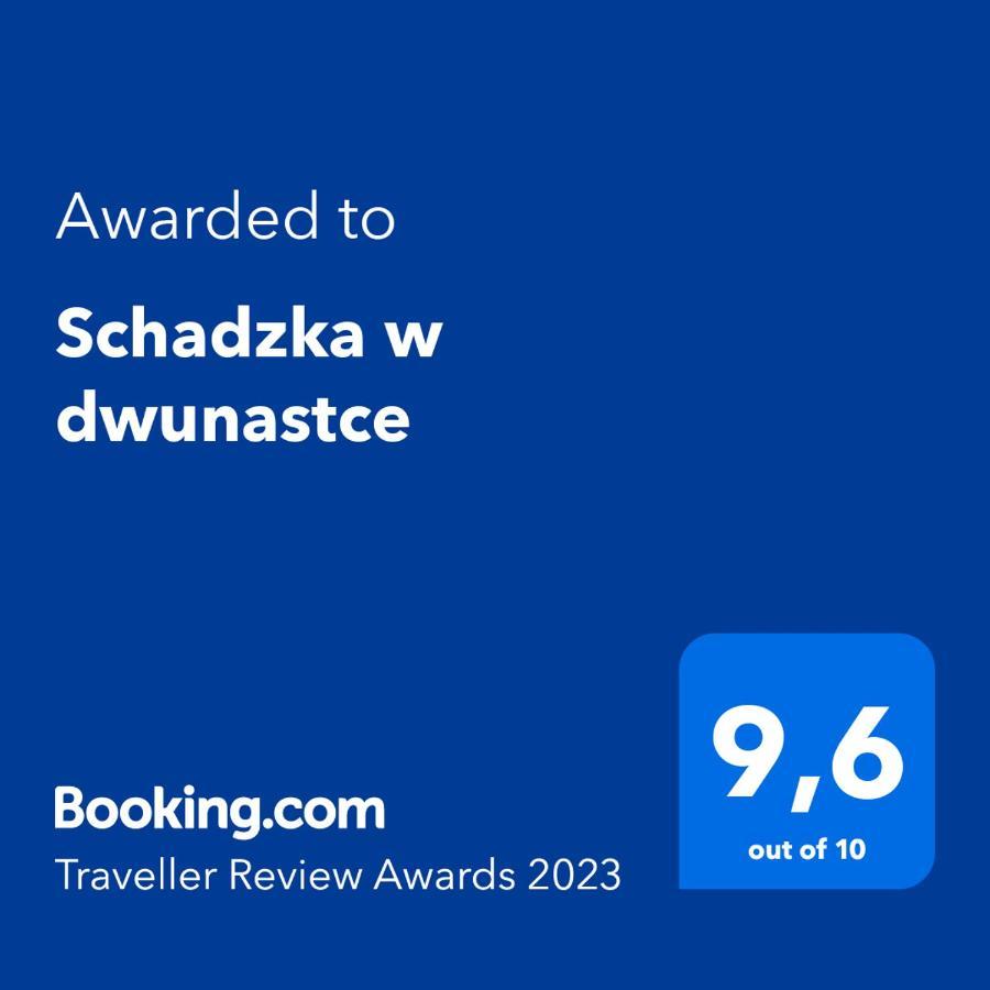 Schadzka W Dwunastce Z Widokiem Na Jezioro Borsk Εξωτερικό φωτογραφία